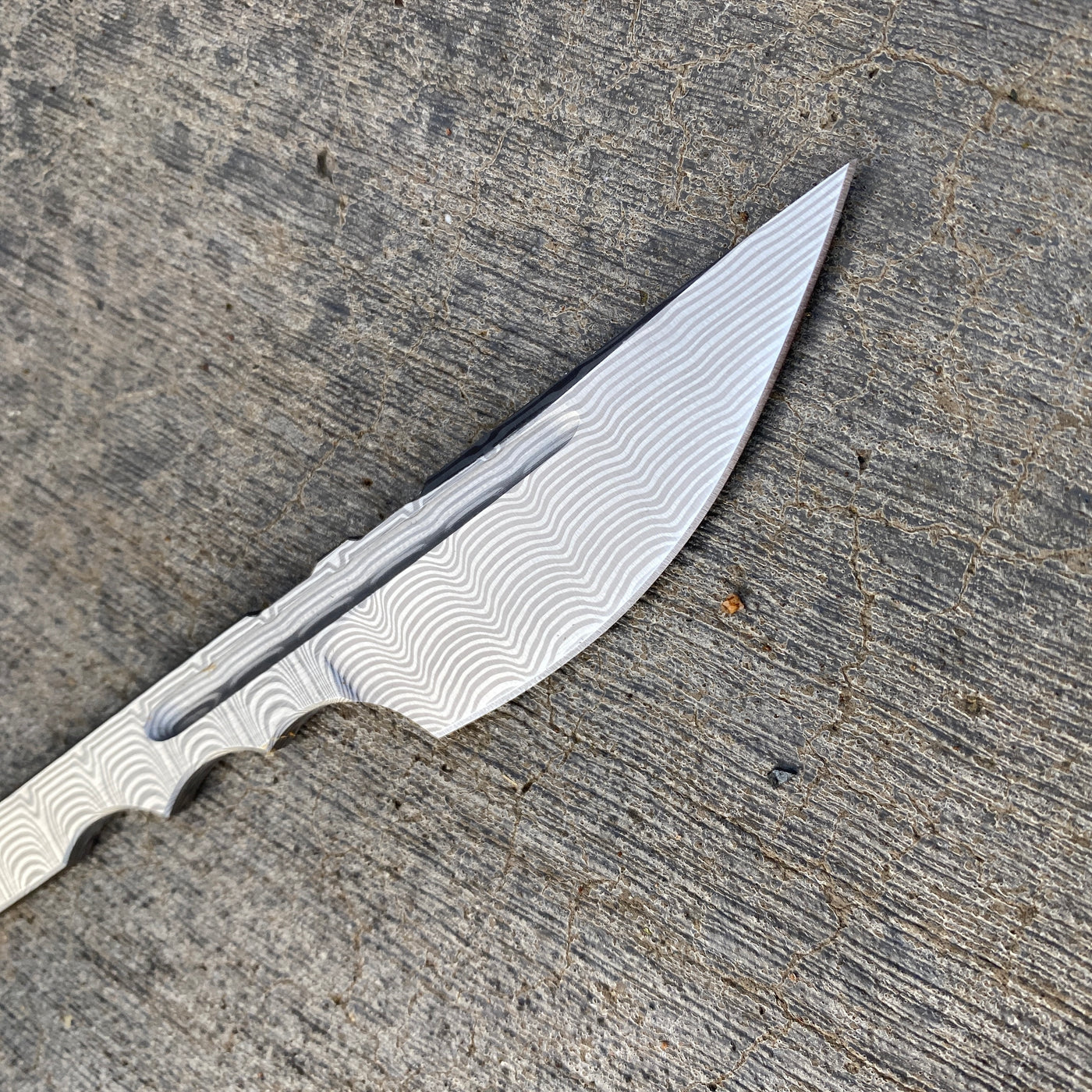 KA Custom - Dr. Bird Trout - One-off Fixed blade (Large, Damasteel)